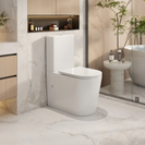 Pani Back-to-Wall Toilet Suite ( Multi Color)