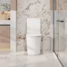 Berlin Quiet Flush Back-to-Wall Toilet Suite (Multi Color)