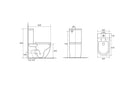 Diana Tornado Rimless Back-to-Wall Toilet Suite - Silent Vortex Flush
