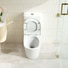 Fifa Tornado Rimless Back-to-Wall Toilet Suite - Ultra-Hygienic Flush