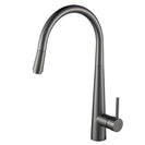 Aquaperla Pull Out Kitchen Mixer Tap (multi color)