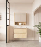 HERA 750mm Wall-Hung Vanity ( Multi Colour )