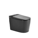 Instant Heating Jet Siphon Type Flushing Smart Toilet (multi color)