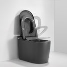 Instant Heating Jet Siphon Type Flushing Smart Toilet (multi color)