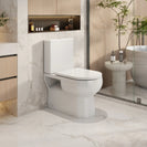 Moi Back-to-Wall Toilet Suite