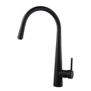 Aquaperla Pull Out Kitchen Sink Mixer Tap （Multi color)