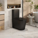 Berlin Quiet Flush Back-to-Wall Toilet Suite (Multi Color)